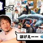 【ひろゆき 切り抜き】7年分が冷凍保存！？日本の捕鯨問題について