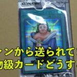 [ヒカル x 遊楽舎] ファンから送られた怪物級カード、これどうする？【ヒカルまとめ】