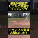 【野球】ヒカルの華麗なバッティング【ヒカルまとめ】