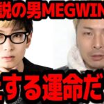 【炎上】YouTubeを日本で流行らせた男MEGWINの炎上が必然的だった理由を語る ヒカル切り抜き【ヒカルまとめ】