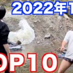 【ヒカル】2022年10月個人的名シーンランキングTOP10【ヒカルまとめ】