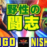 スト6✨ウメハラ [ケン] Vs ニシキン [ブランカ] 野性の闘志  | Daigo Umehara [Ken] Vs Nishikin [Blanka]✨SF6【DaiGoまとめ】